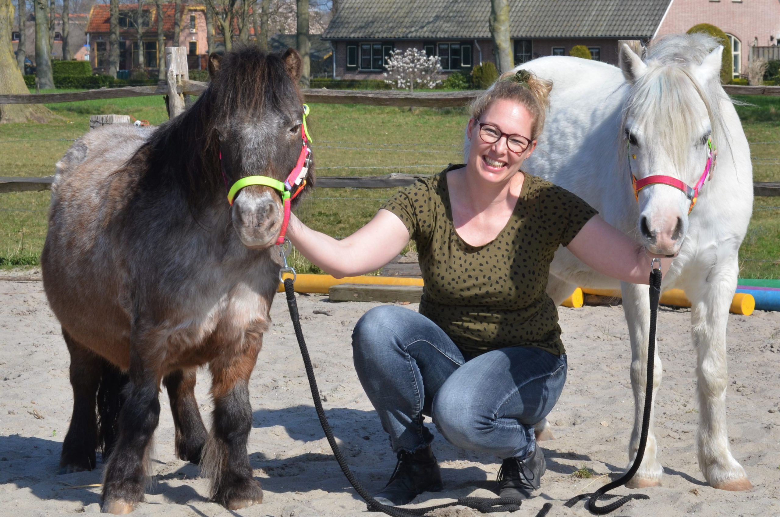 referenties coachees over ervaringen paardencoachsessie bij Elleke met de coachponys sammy flo en ella