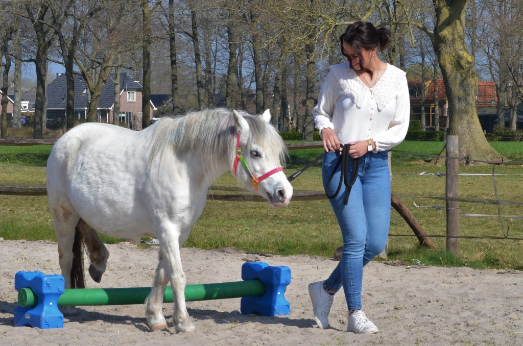 communicatie en onbewust gedrag verbinding coachee en coachpaard