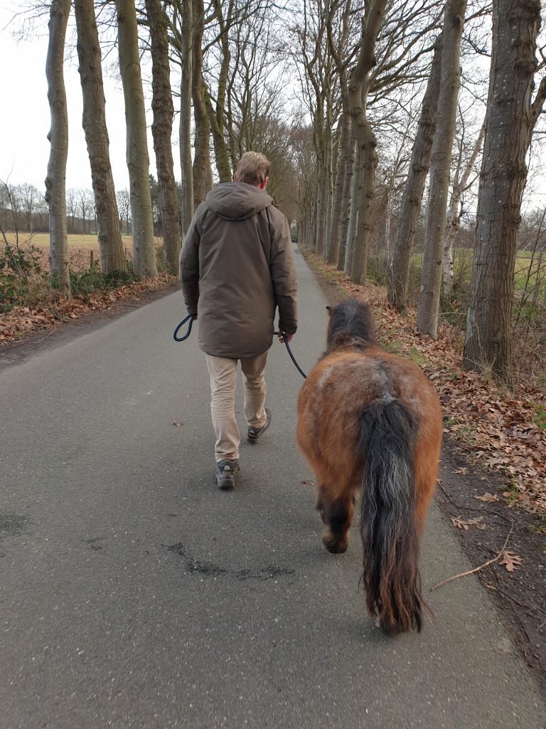 Tijdens het wandelen gaat het om bewustwording en dichten bij je zelf komen