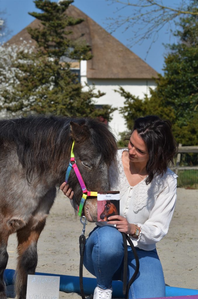 In verbinding met de coachpony ontwikkelen en meer balans