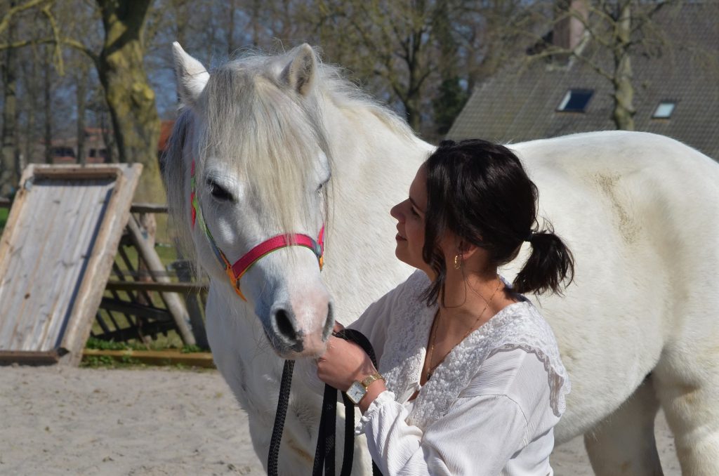 Pony coaching Oldebroek vertrouw in je zelf en de pony