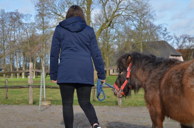 HORSE&HEART- Ponycursus voor jongeren